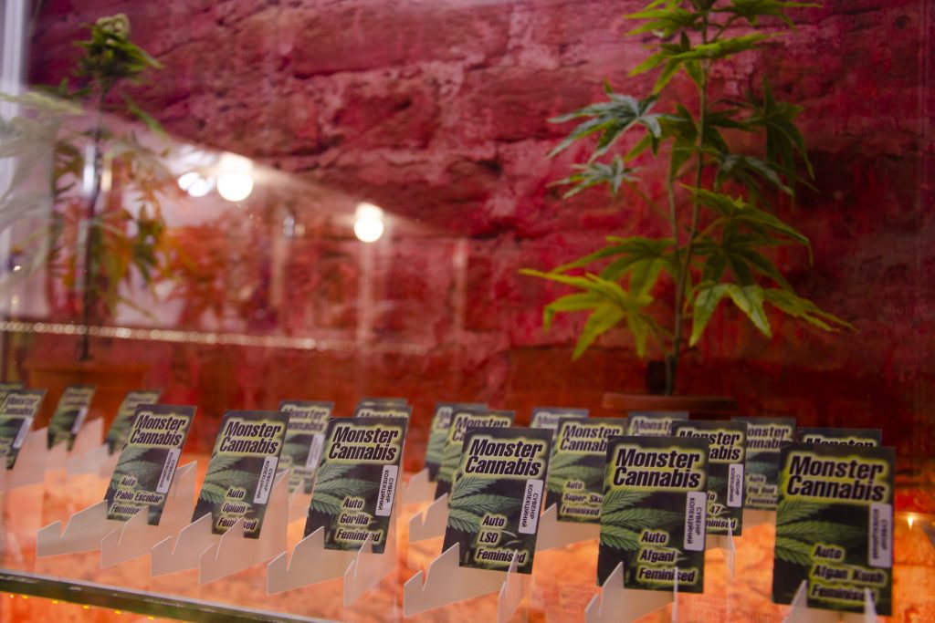 Магазин семена конопли в харькове китайская марихуана
