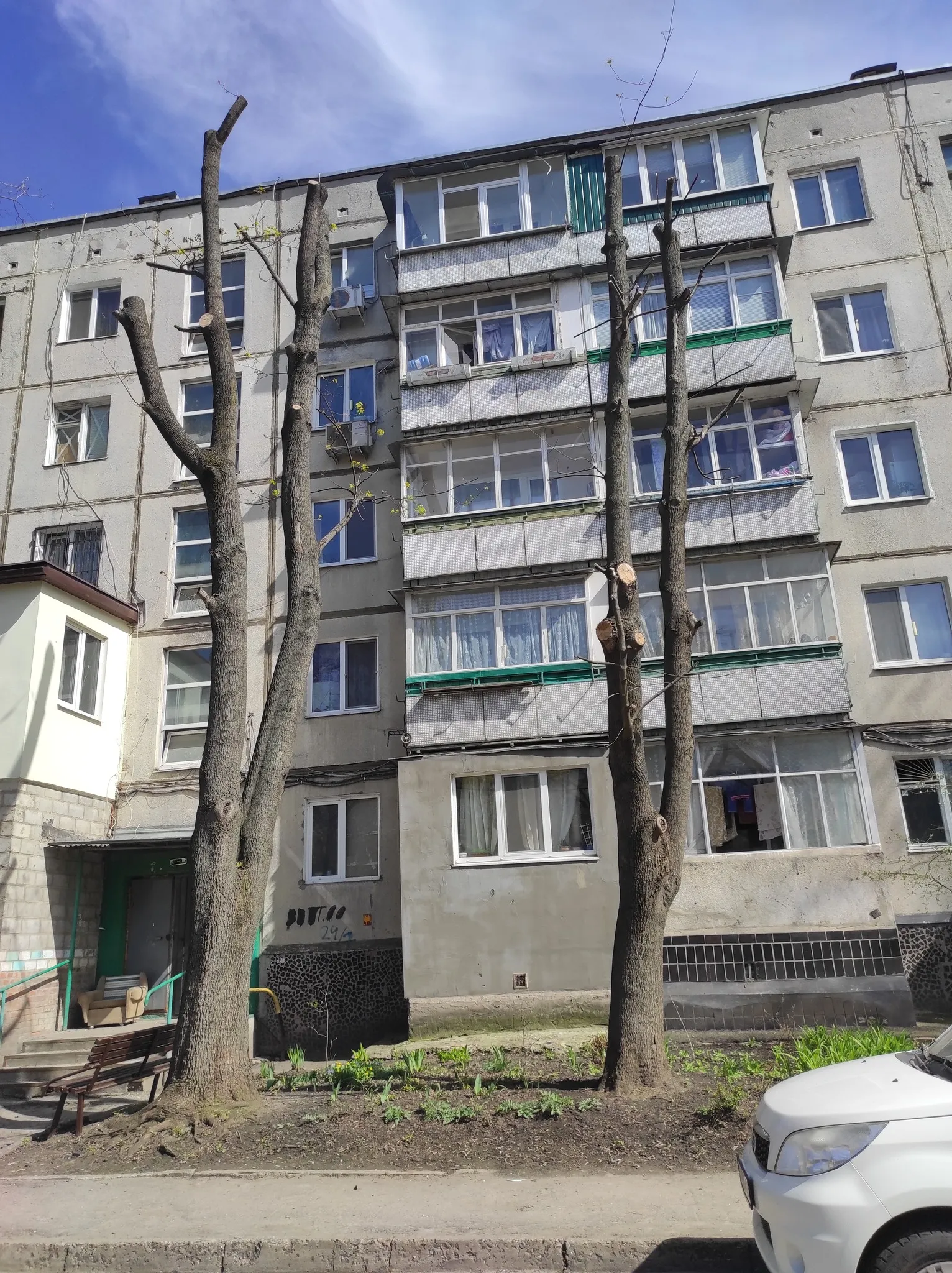 Дерева