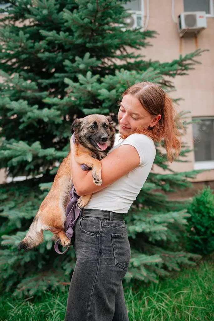 Red Dog volunteer with a stray dog