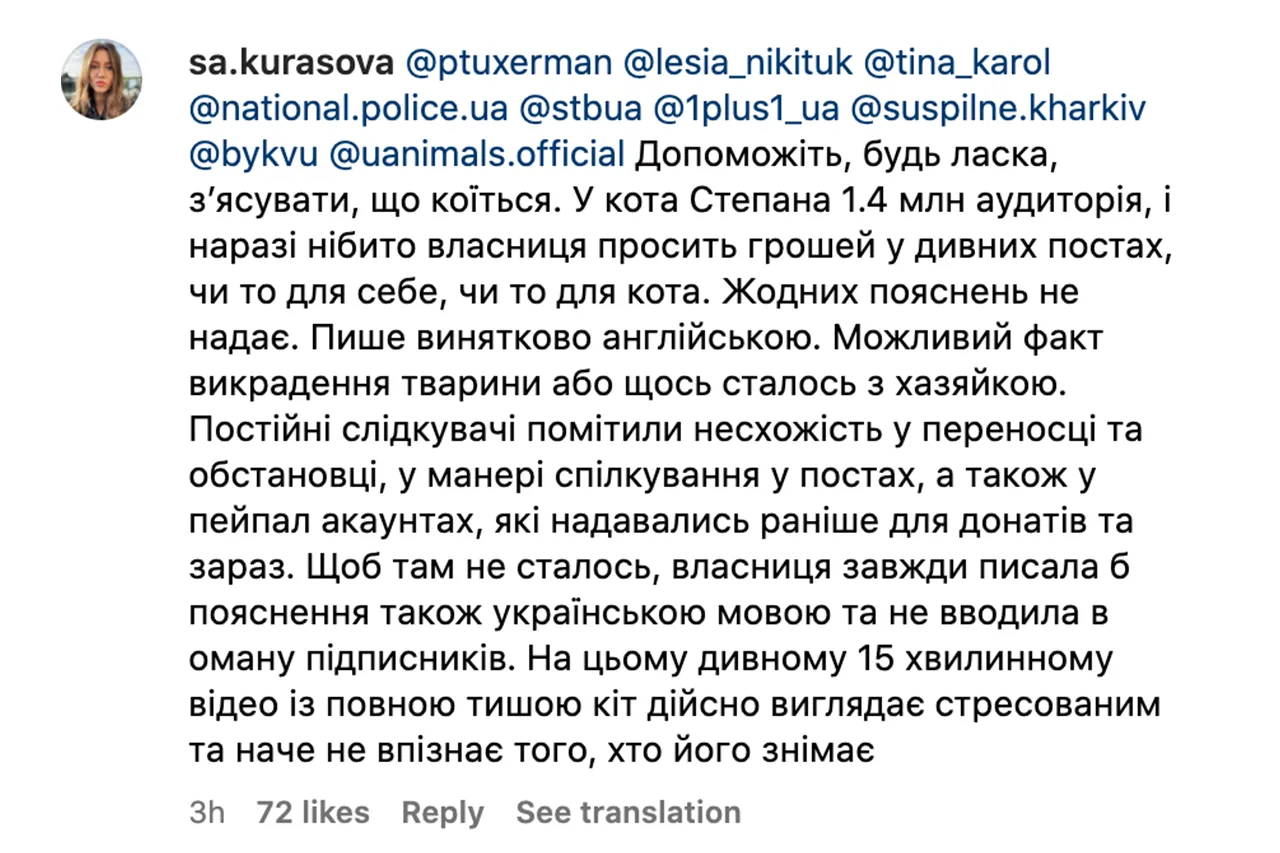 кіт Степан