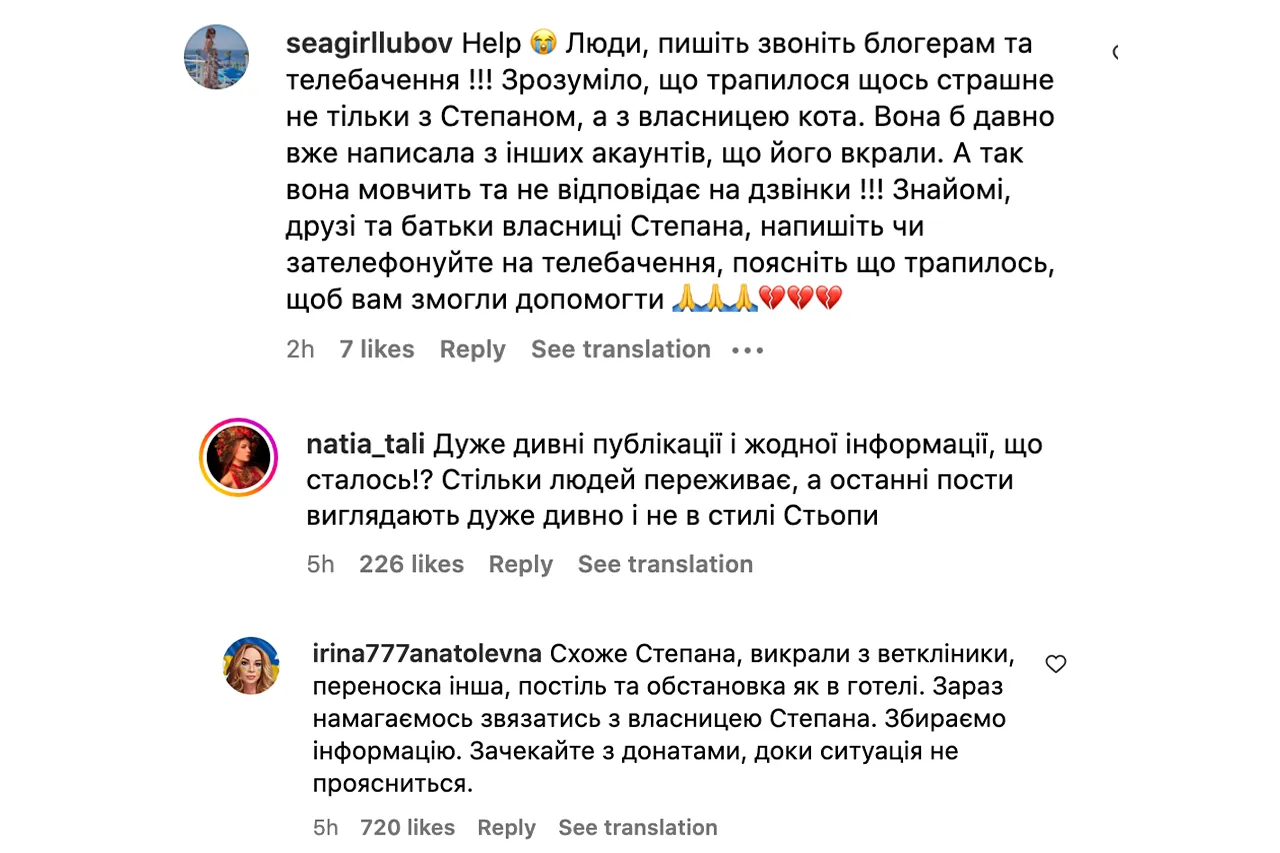 кіт Степан