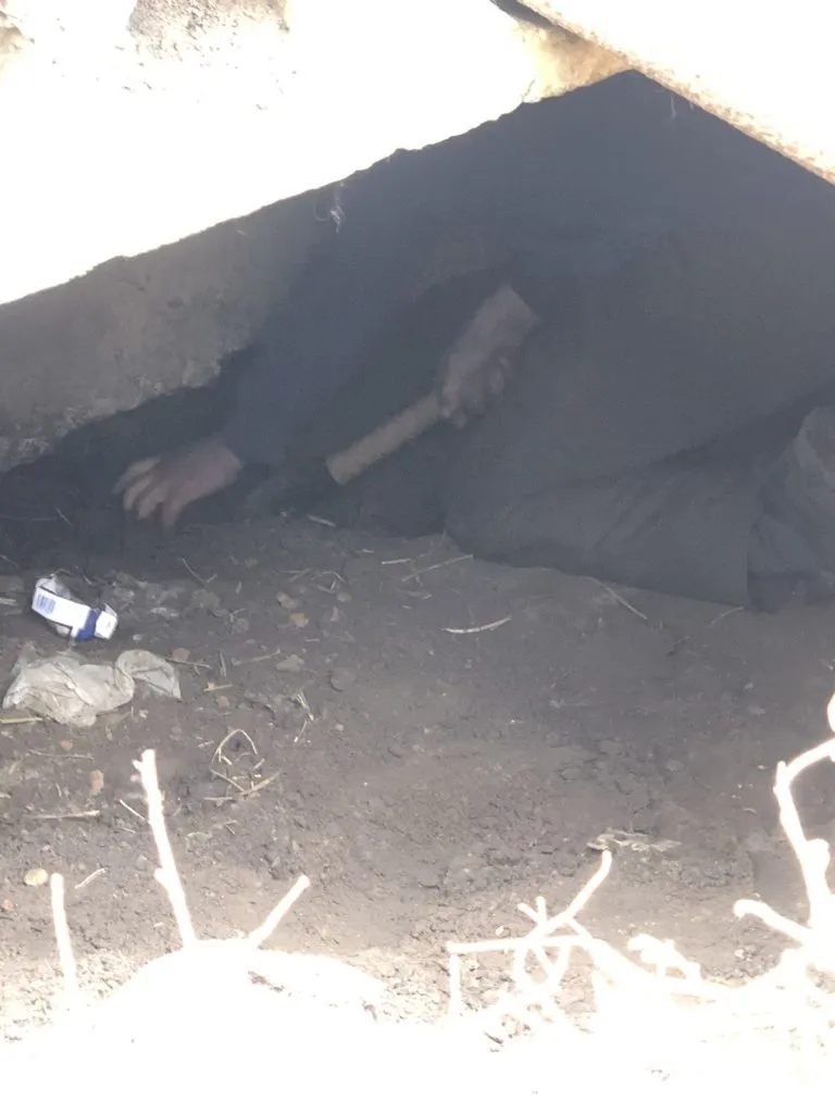 У Пісочині врятували собаку, що застряг під землею через російські обстріли