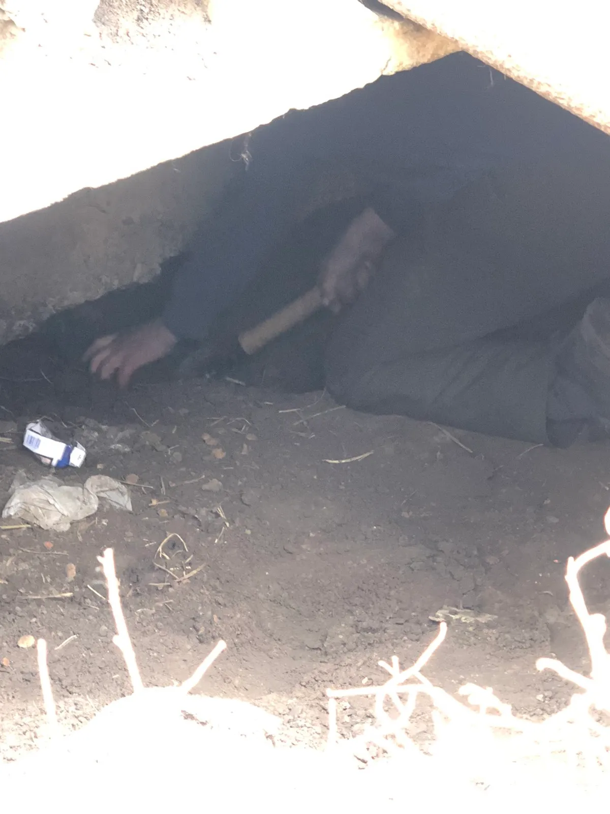 У Пісочині врятували собаку, що застряг під землею через російські обстріли