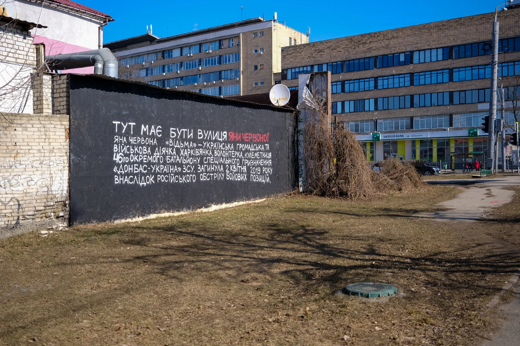 Стінопис на вулиці Новгородській на честь Яни Червоної. Фото: Кристина Пашкіна