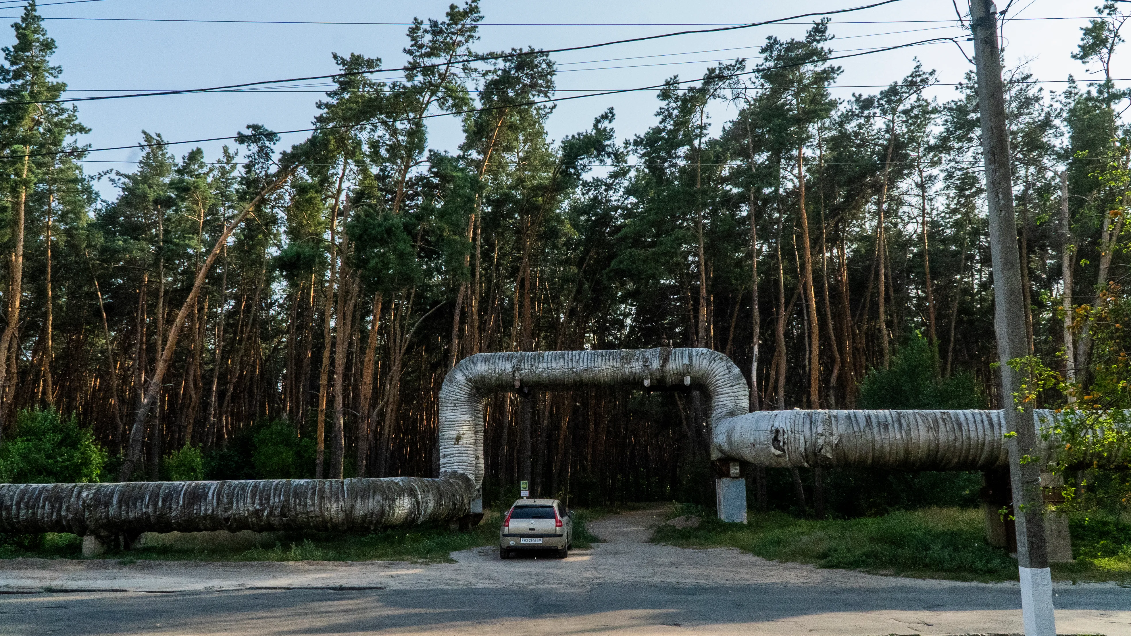 ліс