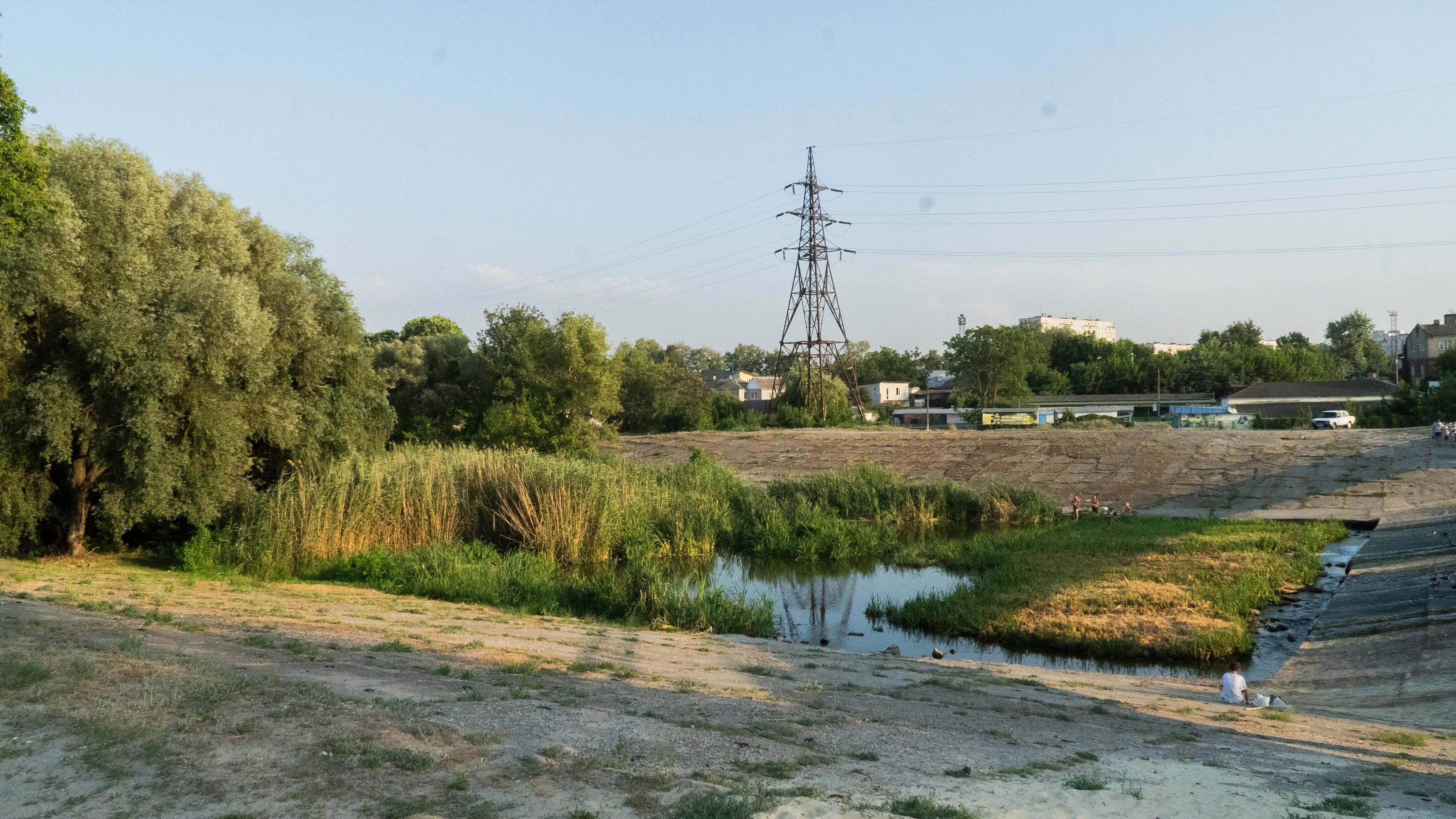 ліс