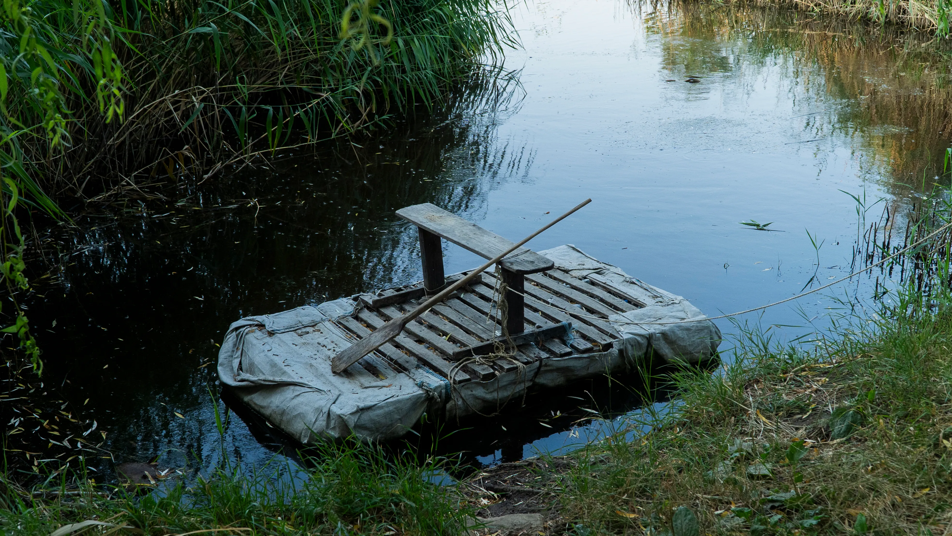 ліс