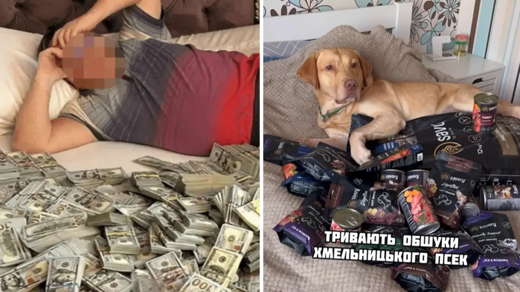 МСЕК мем купа грошей на ліжку