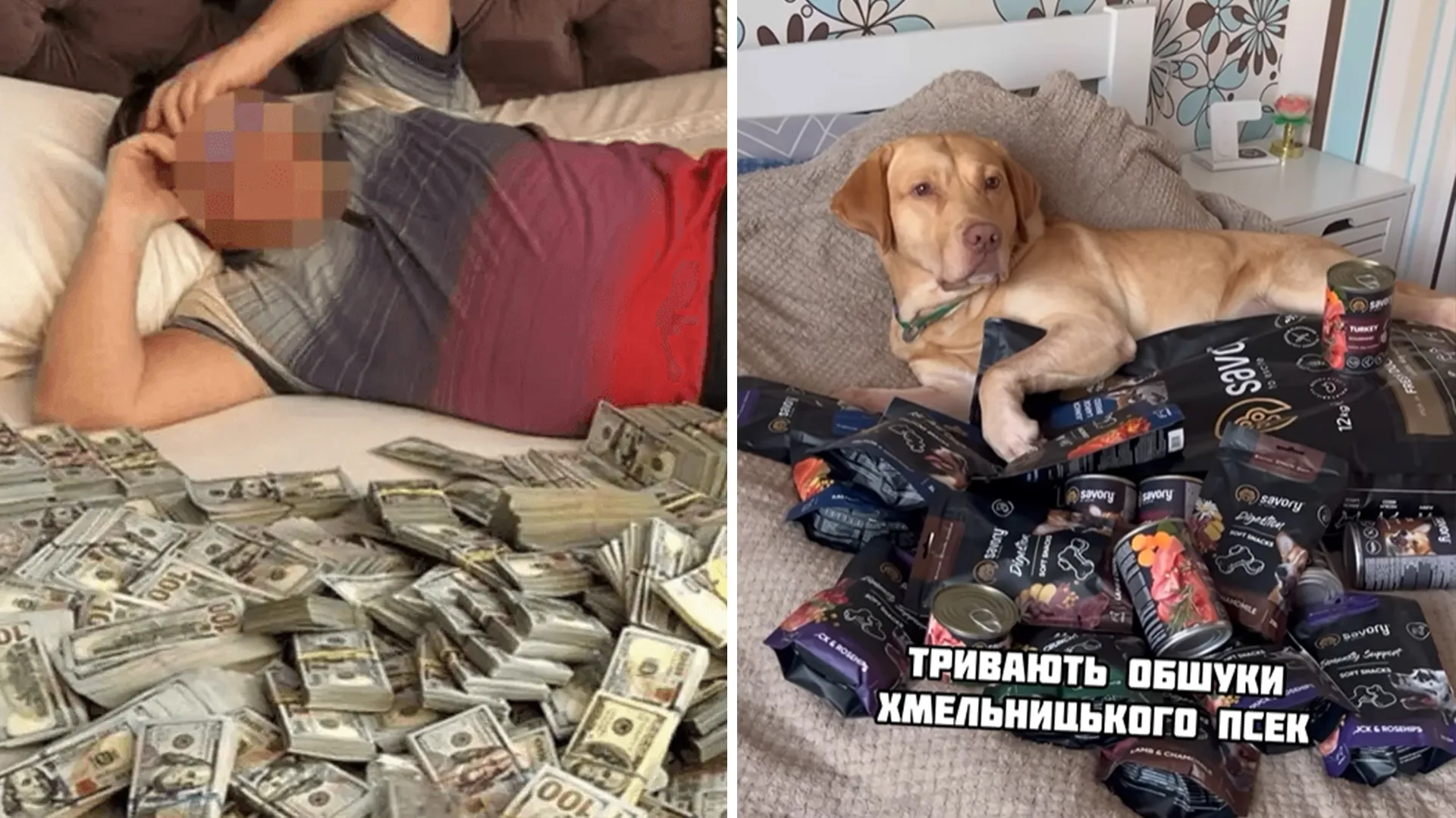МСЕК мем купа грошей на ліжку