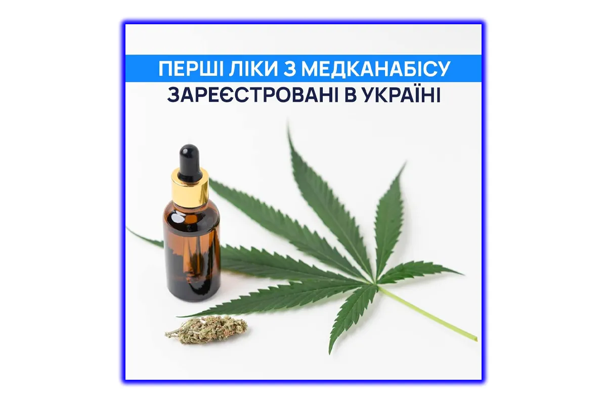 канабіс