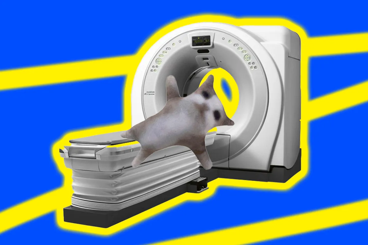 томограф