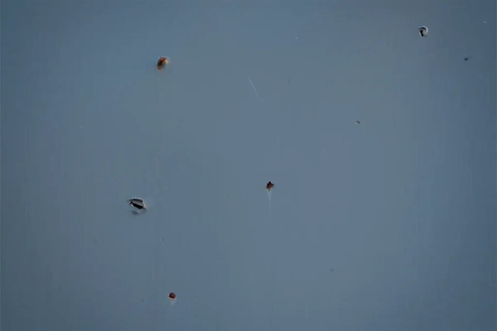 салтовка рост прилет