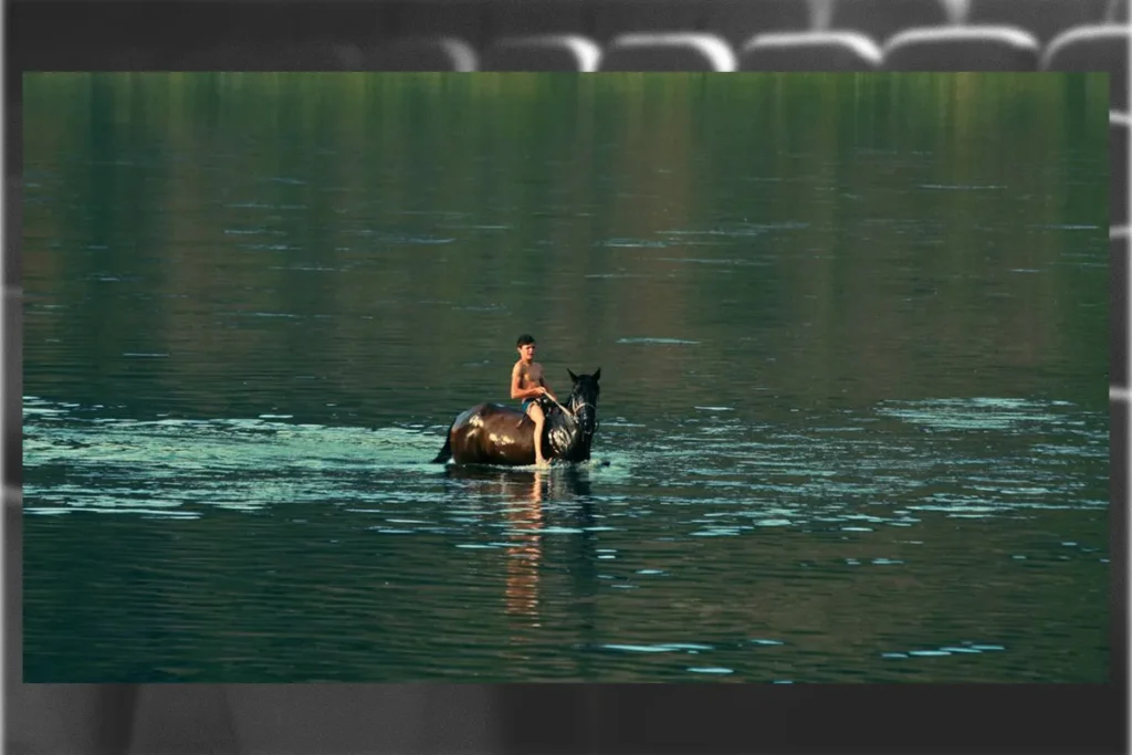 документальне кіно