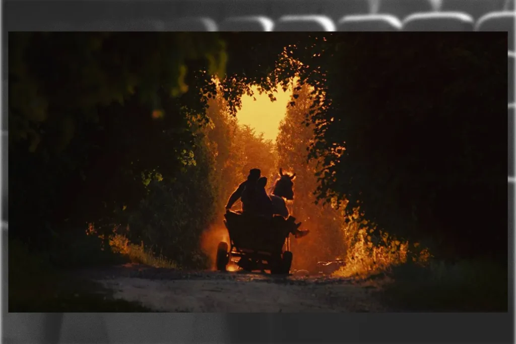 кінотеатри харків