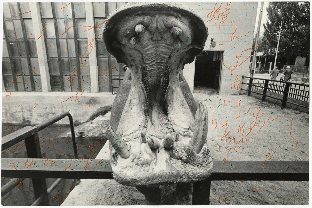 Євгеній Павлов Музей Харківської школи фотографії