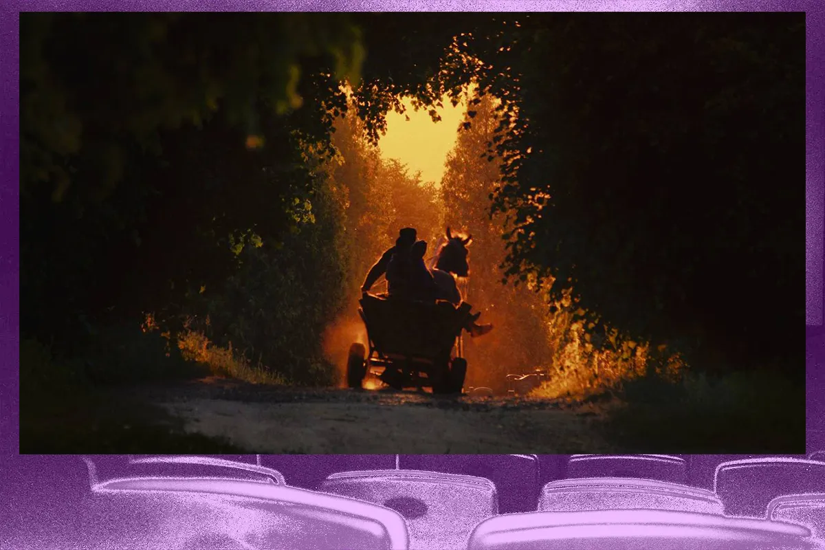 тиха повінь стрімінги