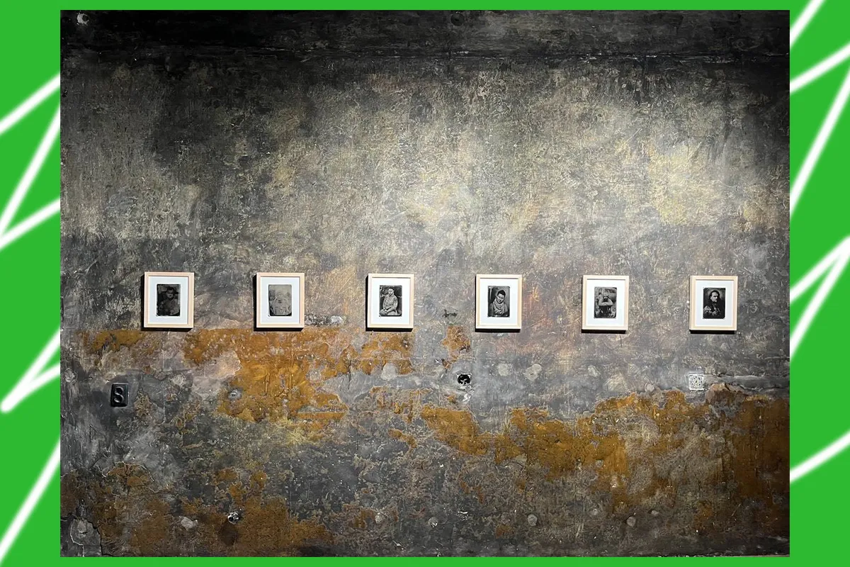 виставка дике поле харків