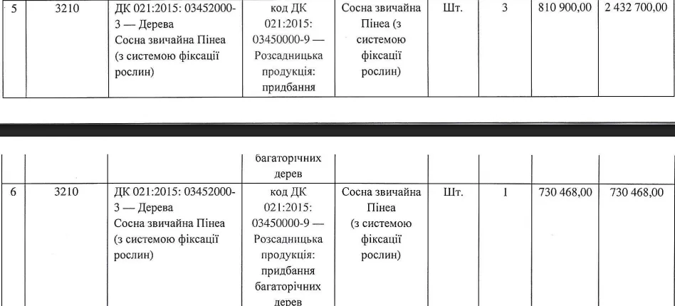 Сосни біля «градусника» у Харкові закупили з переплатою у кілька разів — ХАЦ