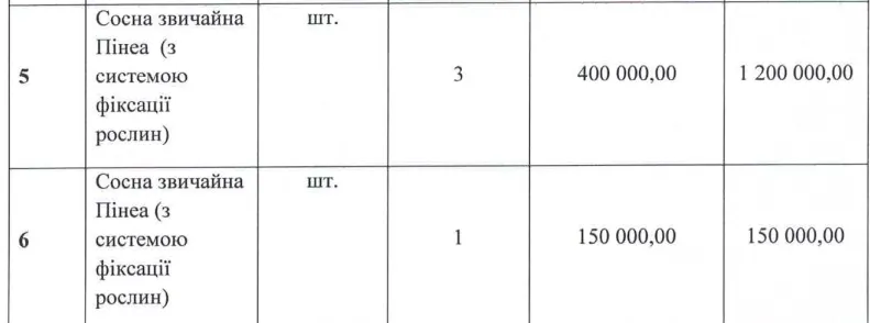 Закупівля сосен у Харкові: дешевші пропозиції на аукціоні відхилили
