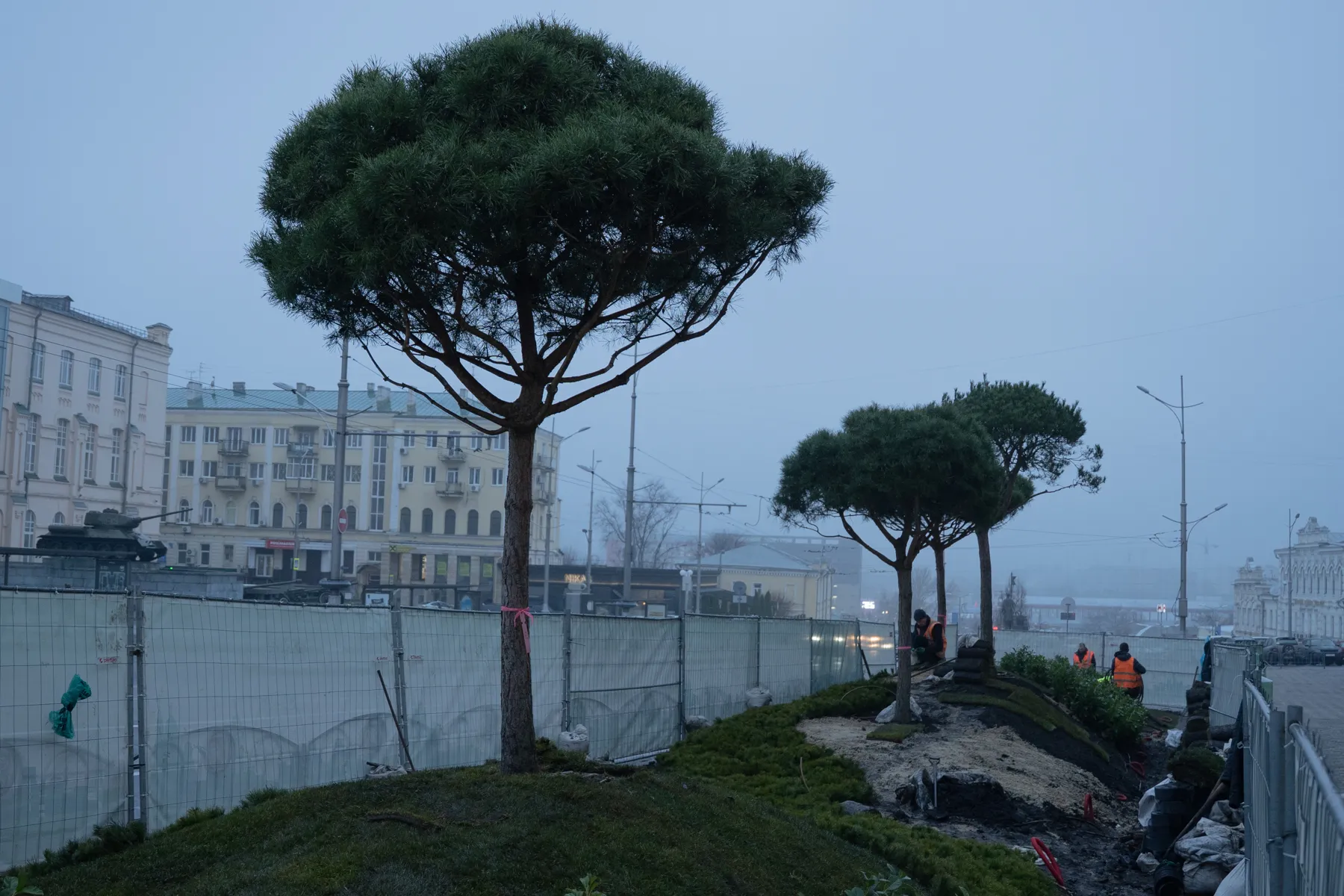 Переплата на озелененні: Харків заплатив до 973 тисяч грн за одну сосну