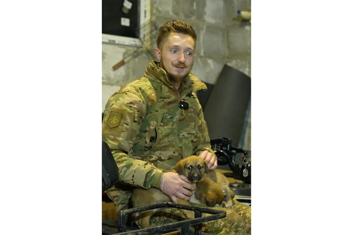 хартія евакуювала цуциків