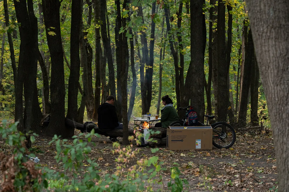 олексіївка ліс чи безпечно