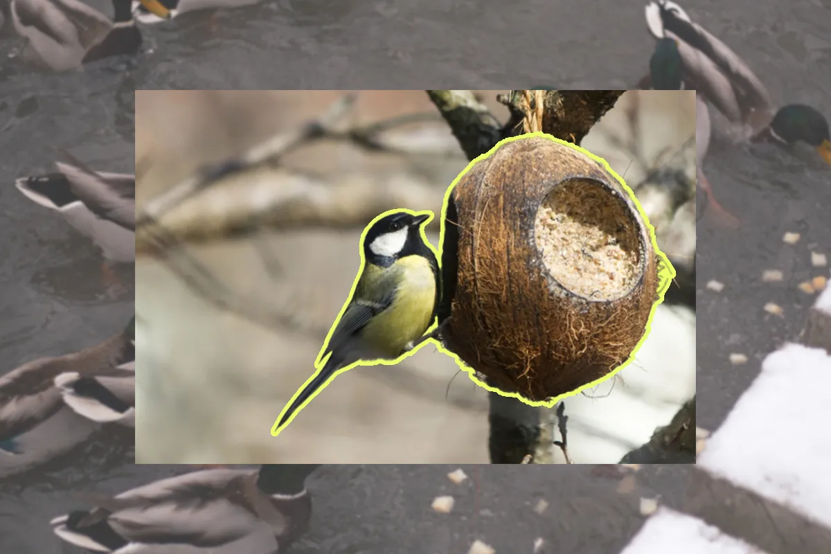 Кормушка з кокосового горіха. Фото з відкритих джерел