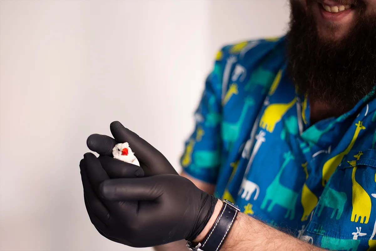 Владислав Мирний тримає пташку