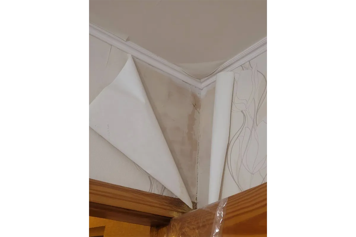 затоплена квартира у відремонтованому будинку, Харків