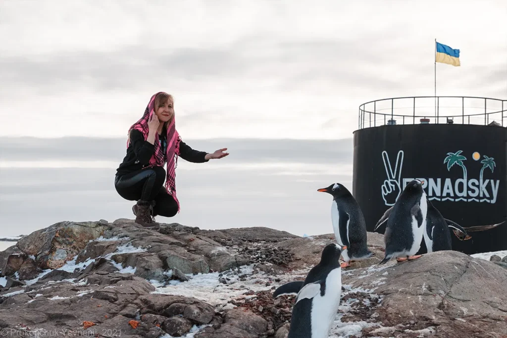 Антарктика