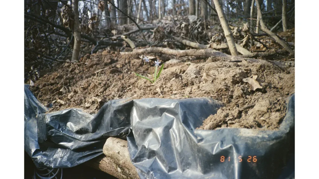 UKR-ENG-Presentation-63