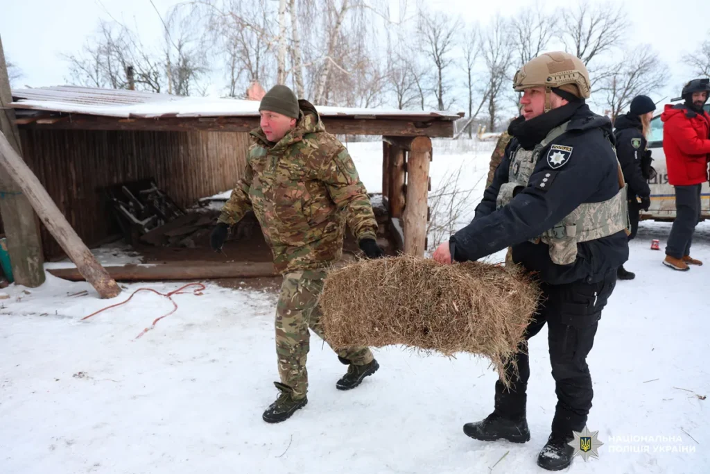 кінний клуб атлант вовчанськ