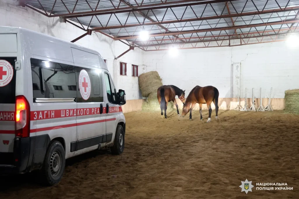 евакуація коней вовчанськ харків