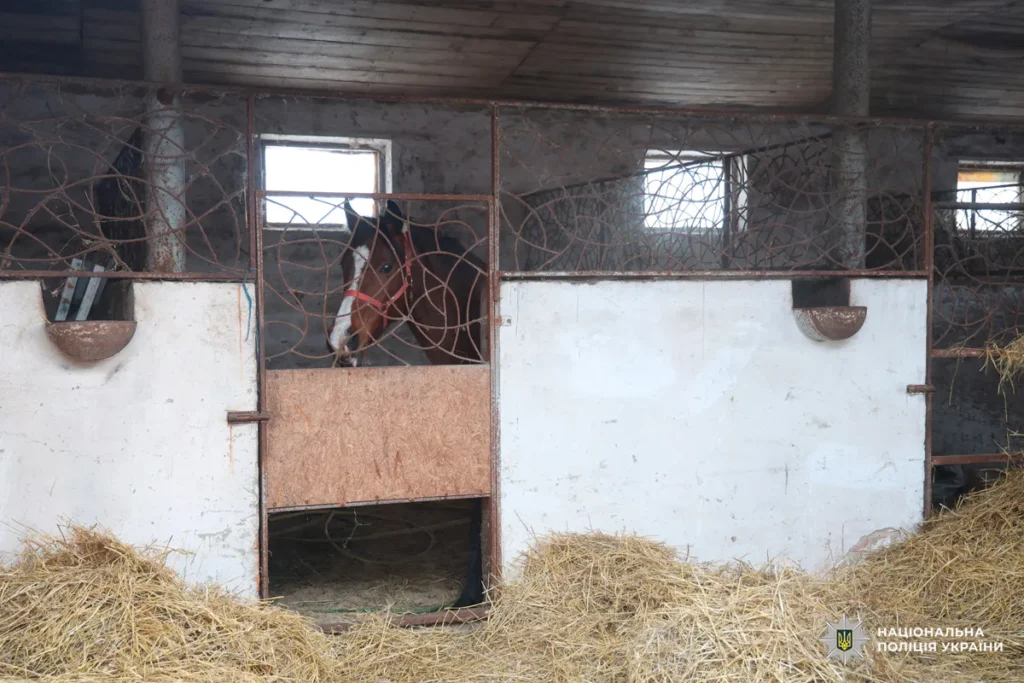 евакуація поліція харків
