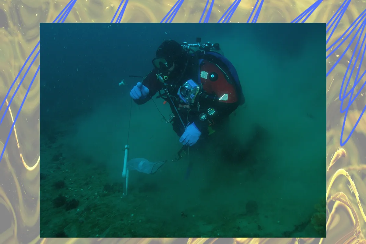 занурення під воду