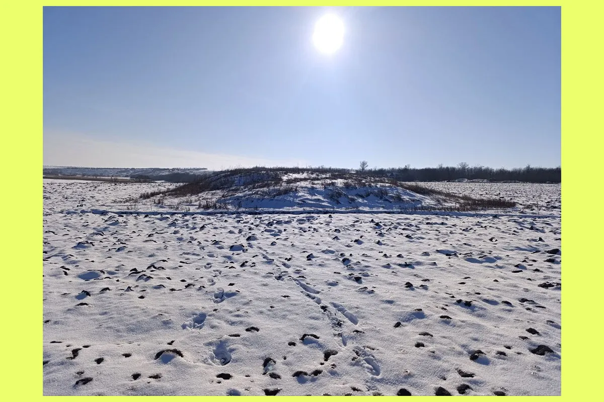 Близнюківщина Харківщина