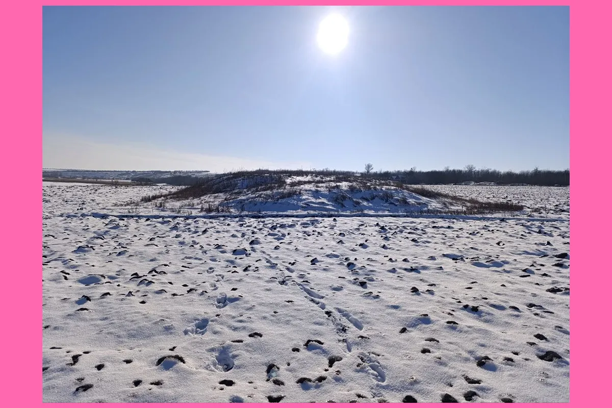 (Не)зрима спадщина. Близнюківщина проєкт