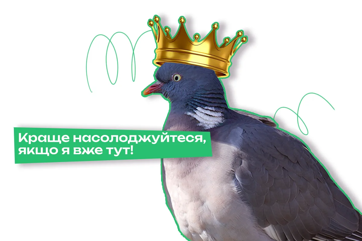 голуб