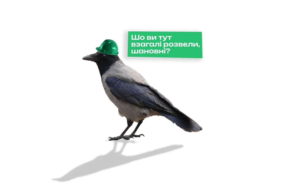 ворона