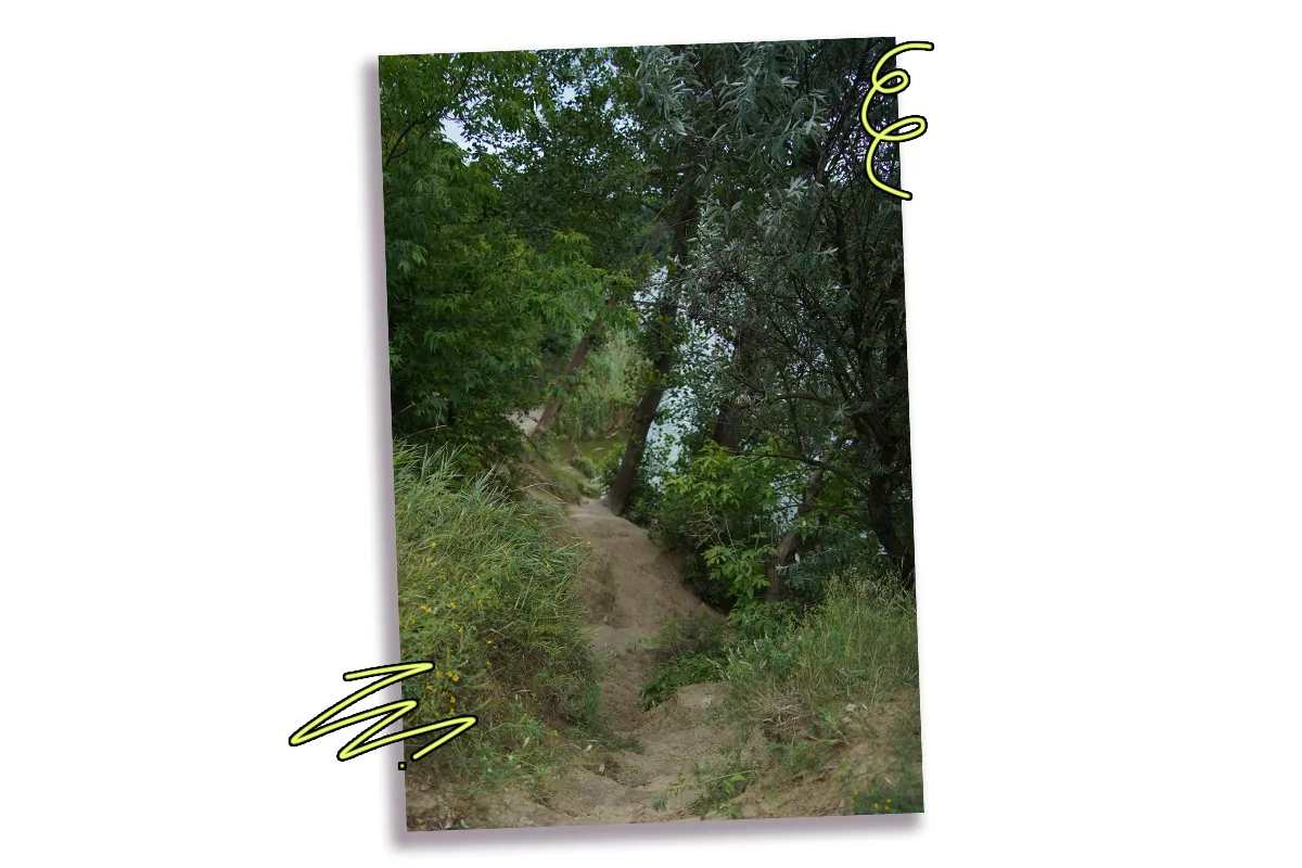 харків ліс
