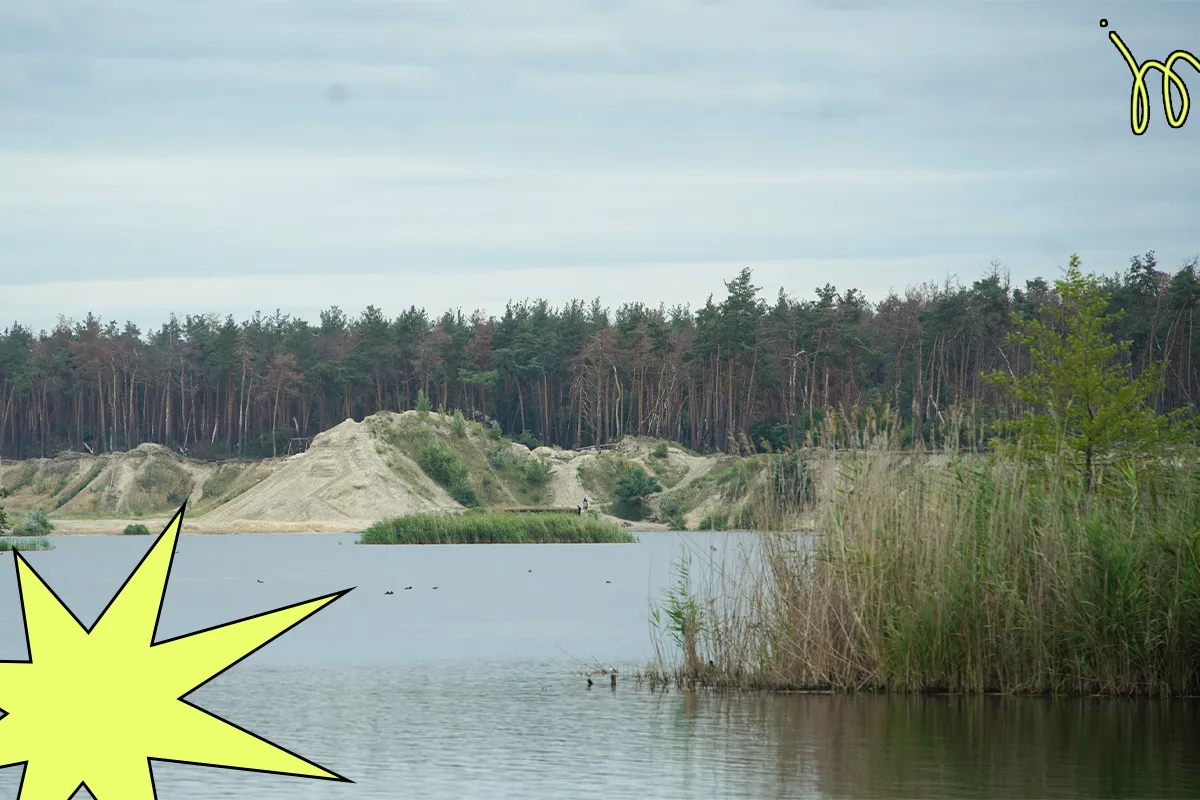 харків ліс природа