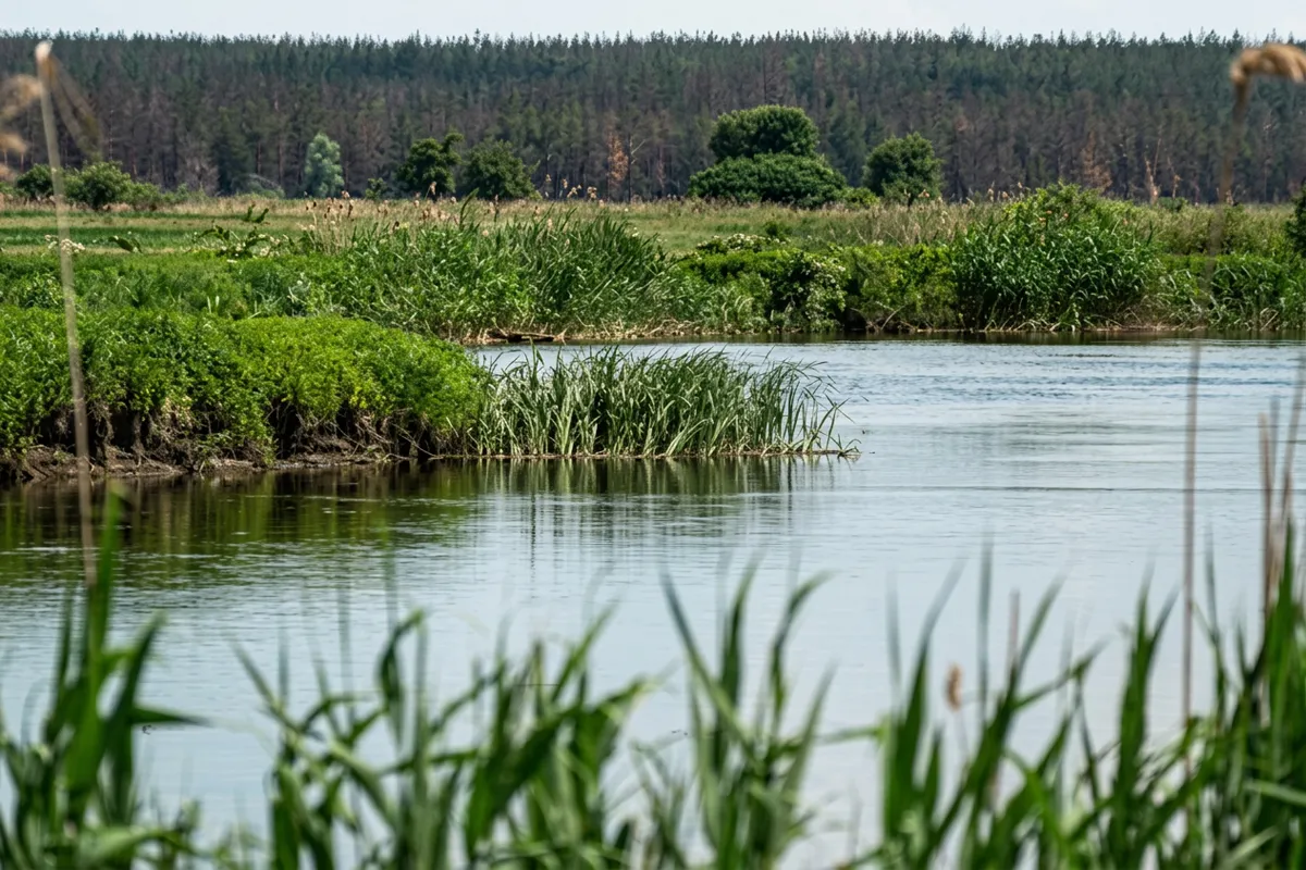 водойма водосховище харківщина