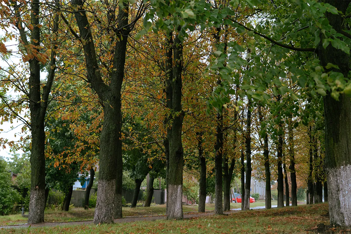 харків парк