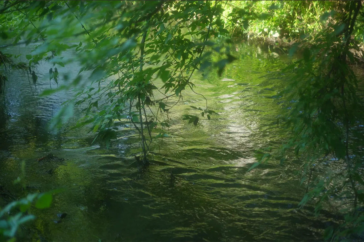 ріка якість води