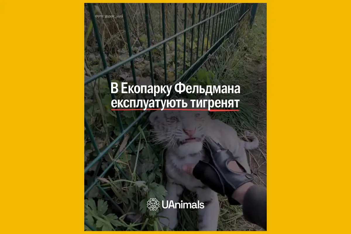 фельдман екопарк uanimals